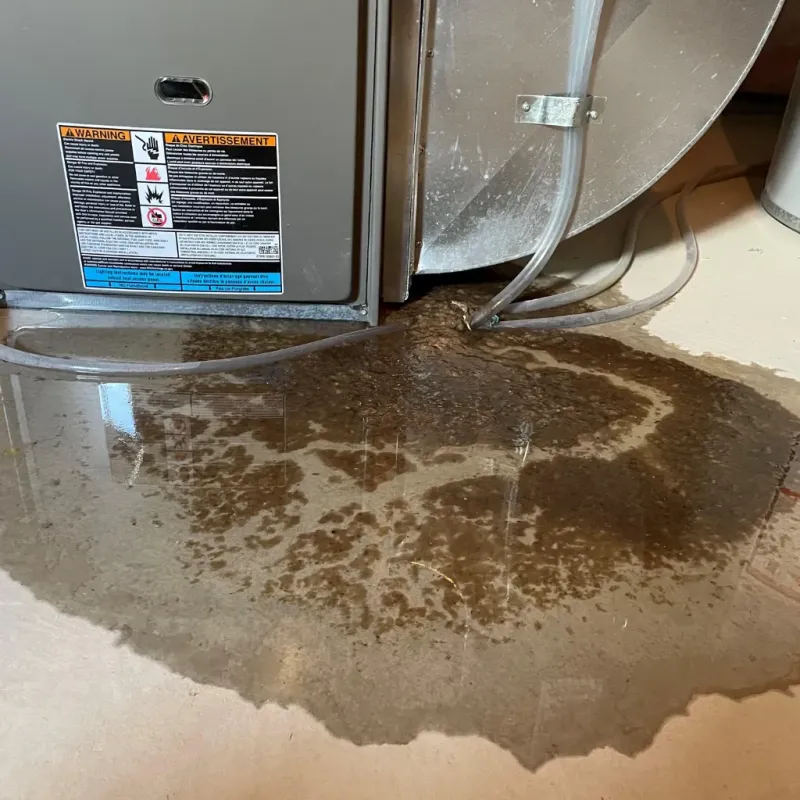 Appliance Leak Cleanup in Clayton, AL